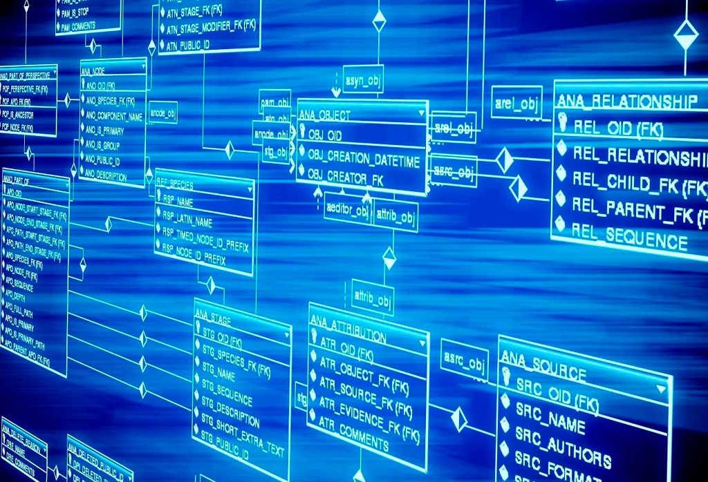 Как посмотреть размер всех таблиц в базе данных MS SQL